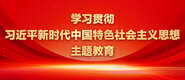 大鸡巴插射菊花在线视频学习贯彻习近平新时代中国特色社会主义思想主题教育_fororder_ad-371X160(2)